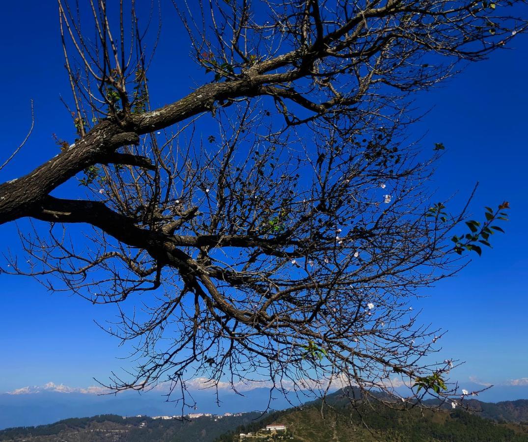 Meraki Huts Pauri Екстер'єр фото